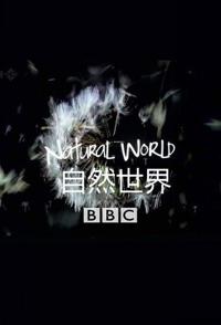 英国纪录片《美洲豹 – 巴西的超级猫科动物 美洲豹 – 巴西的大型猫科动物》高清下载-八六三纪录片资源网