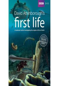 英国纪录片《生命足跡 First Life》高清下载-八六三纪录片资源网