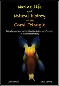 美国纪录片《珊瑚大三角 The Coral Triangle》高清下载-八六三纪录片资源网