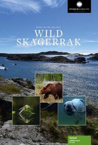 英国纪录片《野性北欧海峡 Wild Skagerrak》高清下载-八六三纪录片资源网