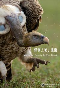 英国纪录片《秃鹫：野兽之美 Vultures Beauty in the Beast》高清下载-八六三纪录片资源网