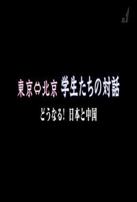 日本纪录片《早稻田大学和北京大学学生之间的对话 東京 東京・北京 学生たちの対話 どうなる！日本と中国》高清下载-八六三纪录片资源网
