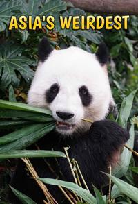 美国纪录片《亚洲最奇异 Asia's Weirdest》高清下载-八六三纪录片资源网