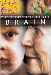 美国纪录片《有脑有生命 The Secret Life of the Brain》高清下载-八六三纪录片资源网
