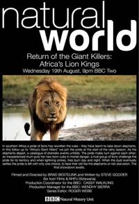 英国纪录片《大型杀手归来 Return Of The Giant Killers - Africa's Lion Kings》高清下载-八六三纪录片资源网