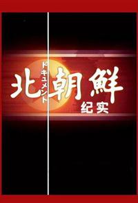 日本纪录片《北朝鲜纪实 North Korea》高清下载-八六三纪录片资源网
