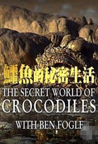 中国台湾纪录片《鳄鱼的秘密生活 The Secret Life of Crocodiles With Ben Fogle》高清下载-八六三纪录片资源网