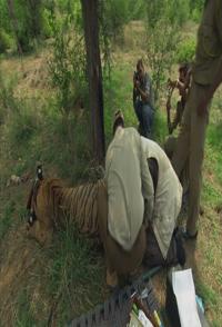 英国纪录片《自然世界 2014年全集 Natural World 2014nian collection》高清下载-八六三纪录片资源网