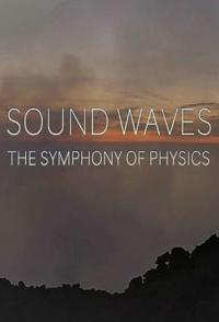 英国纪录片《声波：物理交响曲 Sound Waves: The Symphony of Physics》高清下载-八六三纪录片资源网