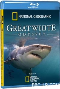 美国纪录片《大白鲨的长途冒险旅程 Great White Odyssey》高清下载-八六三纪录片资源网