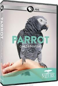 美国纪录片《解密鹦鹉 Parrot Confidential》高清下载-八六三纪录片资源网