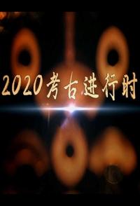 中国大陆纪录片《2020考古进行时 2020考古进行时》高清下载-八六三纪录片资源网