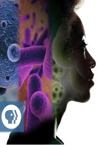 美国纪录片《奇迹：人体内的生物 What's Living in You》高清下载-八六三纪录片资源网