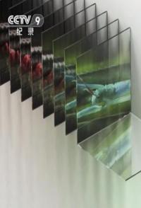 英国纪录片《探秘微型动物世界 探秘微型动物世界》高清下载-八六三纪录片资源网