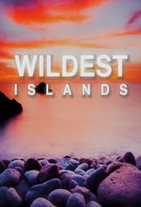 美国纪录片《岛屿野生大地 Wildest islands》高清下载-八六三纪录片资源网