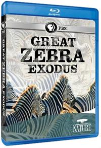 美国纪录片《斑马大撤退 Great Zebra Exodus》高清下载-八六三纪录片资源网