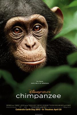 美国，坦桑尼亚纪录片《黑猩猩 Chimpanzee》高清下载-八六三纪录片资源网