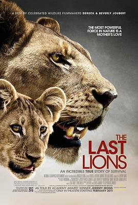 美国，博茨瓦纳纪录片《最后的狮子 The Last Lions》高清下载-八六三纪录片资源网