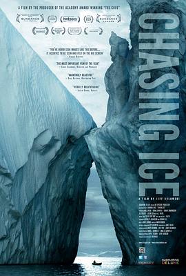 美国纪录片《逐冰之旅 Chasing Ice》高清下载-八六三纪录片资源网