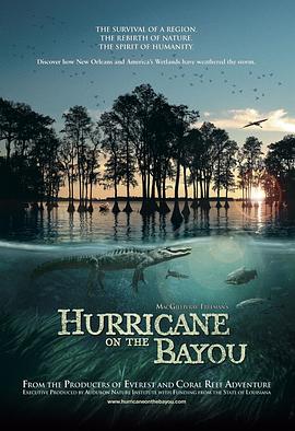 美国纪录片《海湾的飓风 Hurricane on the Bayou》高清下载-八六三纪录片资源网