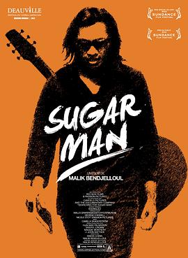 英国，芬兰，瑞典纪录片《寻找小糖人 Searching for Sugar Man》高清下载-八六三纪录片资源网