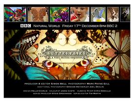 英国纪录片《翩翩蝴蝶—英国式迷恋 Butterflies: A Very British Obsession》高清下载-八六三纪录片资源网