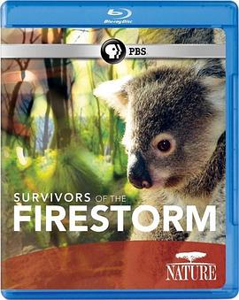美国纪录片《大火幸存者 Nature: Survivors of the Firestorm》高清下载-八六三纪录片资源网