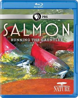 美国纪录片《鲑鱼：历尽艰辛 Salmon: Running the Gauntlet》高清下载-八六三纪录片资源网
