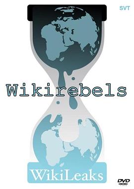 瑞典纪录片《维基解密的抗争 WikiRebels: The Documentary》高清下载-八六三纪录片资源网