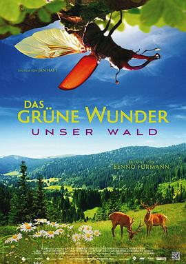 德国纪录片《大自然之舞 Das grüne Wunder – Unser Wald》高清下载-八六三纪录片资源网