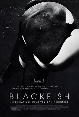 美国纪录片《黑鲸 Blackfish》高清下载-八六三纪录片资源网