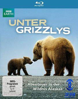 灰熊全接触 Great Bear Stakeout的海报