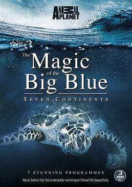 美国纪录片《奇幻蔚蓝海 Magic of the Big Blue》高清下载-八六三纪录片资源网