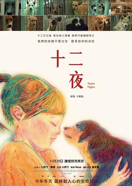 中国台湾纪录片《十二夜》高清下载-八六三纪录片资源网