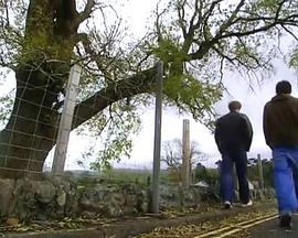 英国纪录片《梅林与亚瑟的前世今生 The Real Merlin & Arthur》高清下载-八六三纪录片资源网