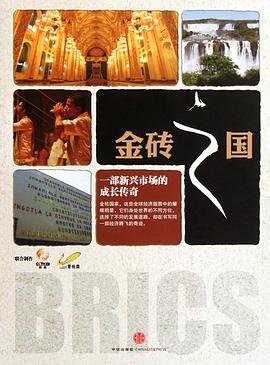 中国大陆纪录片《金砖之国》高清下载-八六三纪录片资源网