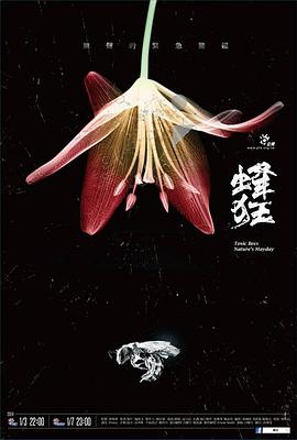 蜂狂的海报