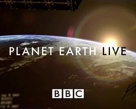 英国纪录片《地球生存录 第二季 Planet Earth Live Season 2》高清下载-八六三纪录片资源网