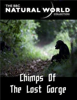 英国纪录片《失落峡谷的黑猩猩 The Natural World: Chimps of the Lost Gorge》高清下载-八六三纪录片资源网