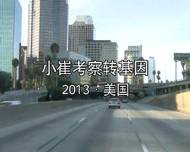 中国大陆纪录片《小崔考察转基因》高清下载-八六三纪录片资源网