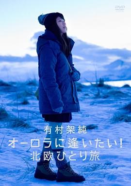 日本纪录片《有村架纯 想看到极光! 北欧一人之旅 有村架純 オーロラに逢いたい! 北欧ひとり旅》高清下载-八六三纪录片资源网