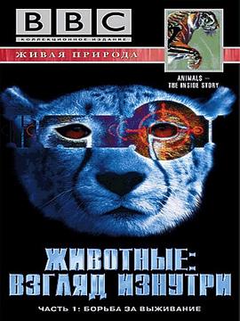 英国纪录片《透视动物 Animal The Inside Story》高清下载-八六三纪录片资源网