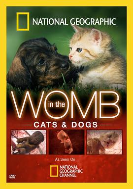 美国纪录片《子宫日记：猫与犬 In the Womb: Cats and Dogs》高清下载-八六三纪录片资源网