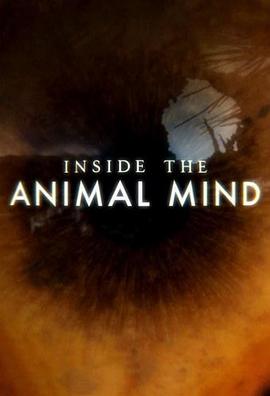 英国纪录片《动物心智 Inside the Animal Mind》高清下载-八六三纪录片资源网