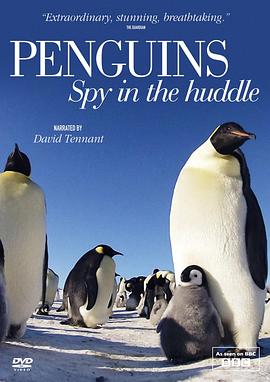 英国纪录片《企鹅群里有特务 Penguins: Spy in the Huddle》高清下载-八六三纪录片资源网