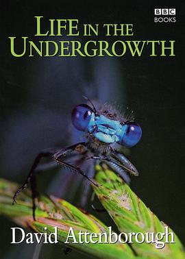 灌丛下的生命 Life in the Undergrowth的海报