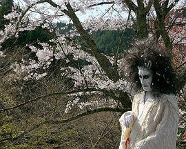 裸夏 裸の夏的海报