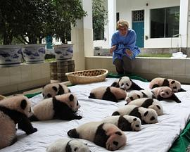 英国纪录片《荒野救援 Operation Wild》高清下载-八六三纪录片资源网