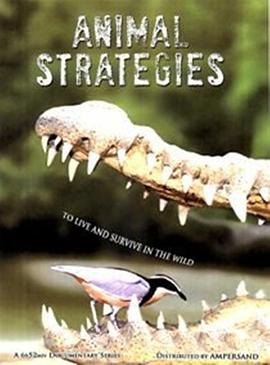 法国纪录片《动物生存秘籍 Stratégies animales》高清下载-八六三纪录片资源网