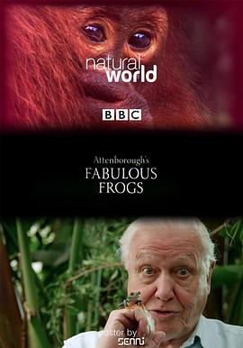 大自然:爱登保罗爷爷带你看绝妙的蛙 Nature: Attenborough's Fabulous Frogs的海报